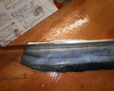 さんまの三枚おろし腹骨の取り方作り方3写真