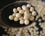 煎り大豆の水煮作り方2写真