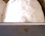 素朴な森のレーズン食パン(1.5斤)♡作り方14写真