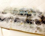 サンマの漬け焼き◆保存にも作り方2写真