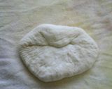 こねずにオーバーナイト☆明太子フランス作り方13写真