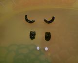 キャラ弁♪スーパーマリオ☆テレサ♪作り方4写真