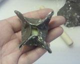 【ジブリ】＊真っ黒くろすけ水餃子＊作り方6写真