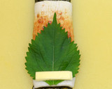 ちくわチーズ＋青紫蘇♪海苔巻き風作り方15写真