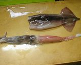 圧力鍋　いかめし作り方4写真