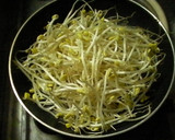 焼きそばもどき…しらたき使用のもやし炒め作り方5写真