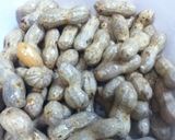 生から作っちゃう！ゆで落花生作り方1写真