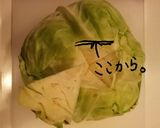 簡単!!レンジで豚こまロールキャベツ作り方2写真