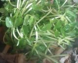 ボリューム☆豆豆ブタ卵丼作り方3写真