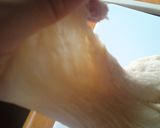 アレンジOK♪パン生地作り方4写真