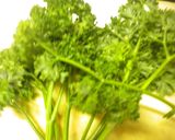 ♪保存&冷凍方法♪パセリ作り方1写真