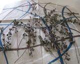 クセになる☆ハーブソルト作り方1写真