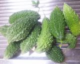 ほんのり苦いゴーヤの佃煮☆作り方1写真