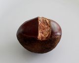 栗渋皮煮を作る時の鬼皮のむき方~その1~作り方3写真