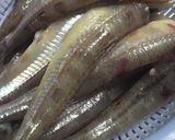 沖うるめのエビフライもどき作り方1写真