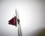 紅色が魅力の♪ローゼル酒作り方1写真