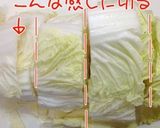 白菜とツナと豆腐の蒸し煮作り方4写真