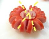 キャラ弁☆ひまわりウィンナー作り方5写真