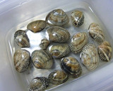 あさりとエビのワイン蒸し作り方1写真