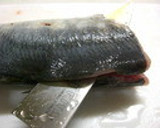 お魚の三枚おろし作り方3写真