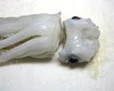 イカのさばき方作り方3写真