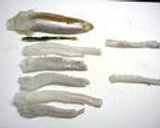 イカのさばき方作り方6写真