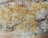 *まぐろ胡麻パン粉焼き*作り方1写真