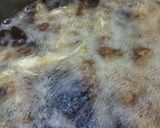 姉から学んだ！豆あじの南蛮漬け作り方7写真