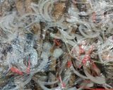 姉から学んだ！豆あじの南蛮漬け作り方12写真