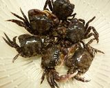 イソガニのお味噌汁作り方1写真