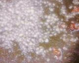 アンチョビと生クリームの節約パスタ作り方1写真