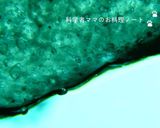 塩麹の作り方作り方10写真