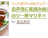 お弁当に味浸み旨い！南瓜のソー酢マリネ☆作り方6写真