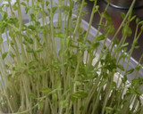 蒸し鶏と豆苗の卵スープ作り方4写真