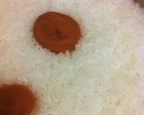 梅ご飯作り方2写真