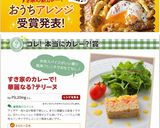 すき家の新カレーで！華麗なる？テリーヌ作り方9写真