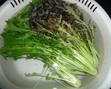 赤からし水菜と蒸し鶏のサラダ 京都カフェ作り方2写真