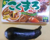 ナスだけカレー作り方1写真