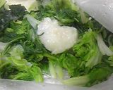 白菜の塩麹漬け作り方3写真