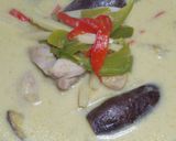 カレー研究会報告！簡単にグリーンカレー！作り方11写真