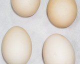 卵黄の漬物！とろーり濃厚な卵黄の味噌漬け作り方2写真