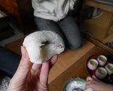 年末のもちつき＠うちの実家バージョン作り方24写真