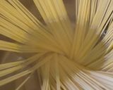 自家製サルシッチャと舞茸のクリームパスタ作り方2写真