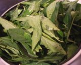 ご飯がすすむ♪葉唐辛子とじゃこの炊いたん作り方4写真