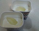 水切りヨーグルトの育て方作り方1写真