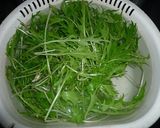 ルッコラ、ひの菜のサラダ 京都カフェ作り方6写真