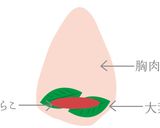 ヘルシージューシー!鶏胸肉のたらこロール作り方2写真