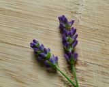 Lavender Ghee作り方1写真