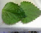 ♫柔らか鶏ささみの明太子挟み焼き♫作り方4写真