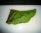 赤高菜の切り方（バーニャカウダ、サラダ）作り方3写真